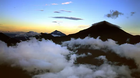 Alamy The Republic of Congo contains large tracts of 'hinterland forests', which are almost untouched (Credit: Alamy)