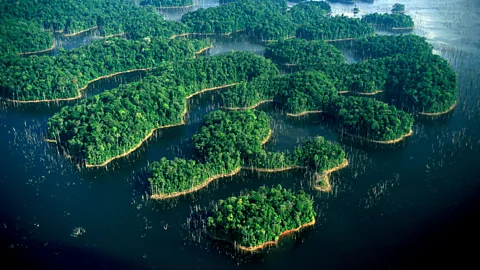Getty Images Guyana and French Guyana hold the most untouched tropical forests in the world (Credit: Getty Images)