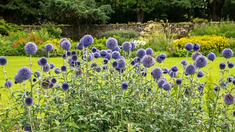 Alamy The Arts and Crafts movement looked to simpler times, finding inspiration in handicrafts and nature, like this Arts and Crafts flower bed at Dirleton Castle, Scotland