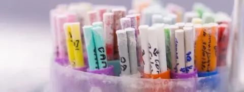 Science Photo Library IVF - tubes of frozen gametes