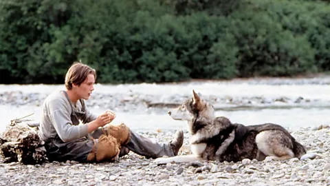 Alamy The 1991 adaptation of White Fang stars Ethan Hawke as the young hero, trying to strike it rich in the Klondike Gold Rush, who bonds with the titular wolf-dog (Credit: Alamy)
