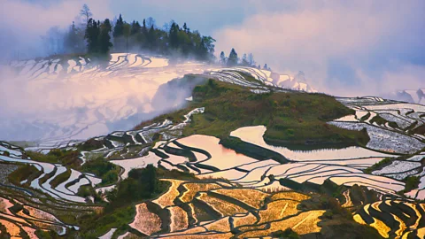 Chaiyun Damkaew/Getty Images Sprawling Honghe Hani Rice Terraces in clouds in Yuanyang, China
