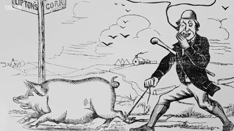 Unilever Liptons advert featuring a pig