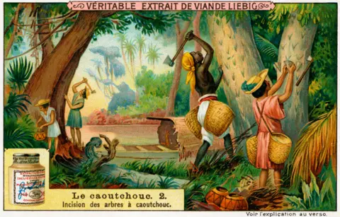 Getty Images A collectable card from a 1910 set showing the extraction of "caoutchouc"