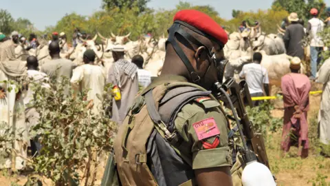 Getty Images Police officers find cows stolen by suspected castle rustlers, Kano, Nigeria - archive shot