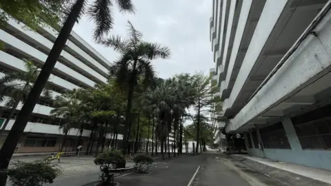 Lan Pan/BBC Empty buildings in Dongguan