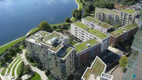 Susdrain Green roof in central London