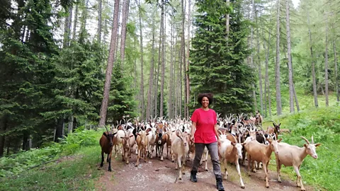 Agitu Idea Gudeta Having grown up surrounded by nomadic goat shepherds, Gudeta felt she could help revive the Mòcheni population and give back to her new home (Credit: Agitu Idea Gudeta)
